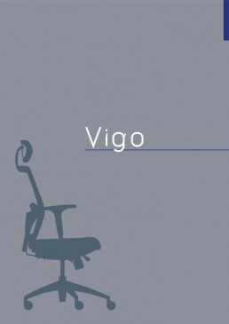 thumbnail of VIGO
